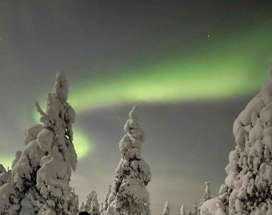 Sofia Rovaniemi City Apartment Dış mekan fotoğraf